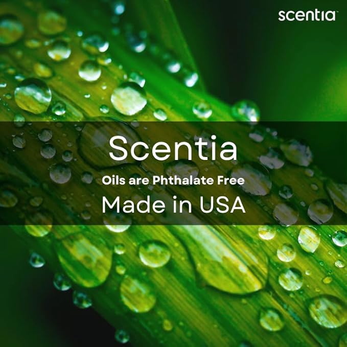 Scentia Autumn Spice Essential Oil – 50ml Fall Blend with Pumpkin Spice Notes | Diffuser Oil for Home, Halloween & Thanksgiving Décor | Aromatherapy, Candle & Soap Making