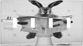 Funny Cute Grey Black Rabbit Reading Newspaper Quad Toggle Light Switch Covers Decorative 4 Gang Wall Plates Cover Rustic Vintage Western Animals Electrical Device Switchplates for Bathroom
