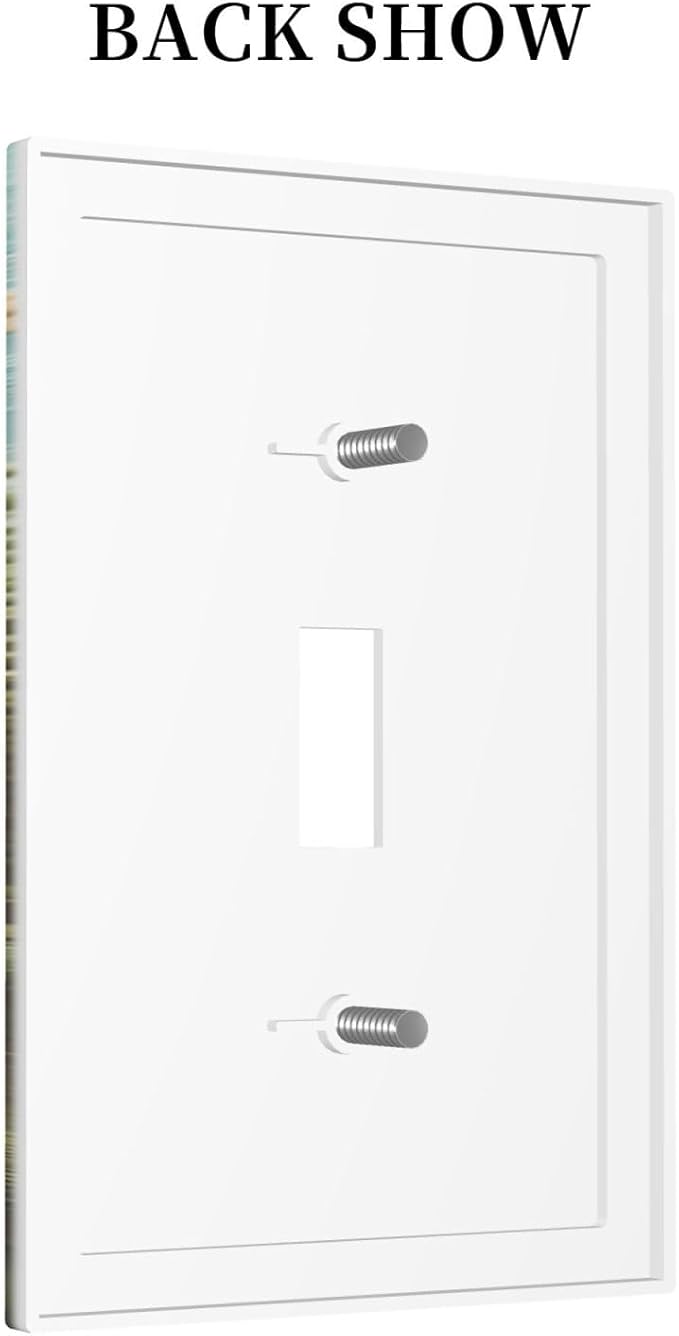 Decorative Light Switch Cover Summer Beach Themed Starfish Seashells 1 Gang Single Toggle Device Electrical Faceplate Switchplates Decorator Outlet Wall Plate for Bedroom Bathroom Decor