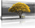Lapremoly Canvas Wall Art For Living Room farmhouse Wall Decor For Bedroom Office Decor Black And White Wall Painting Yellow Trees Pictures Framed Mural Home Decor Prints Posters Artwork 20X40 inch