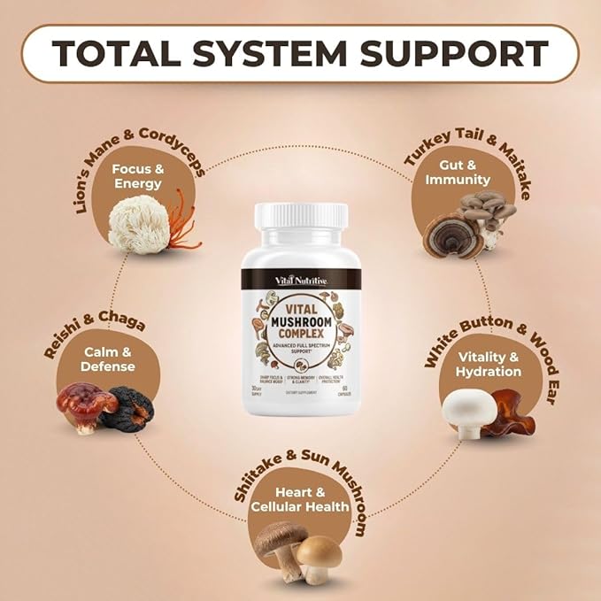 Vital 10-in-1 Mushroom Supplement Complex – High Potency Lion’s Mane, Cordyceps, Reishi & Turkey Tail Capsules – Nootropic Brain Support for Memory, Focus & Energy – 30 Day Supply
