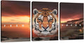 Motivational Wall Art, Inspirational Canvas Wall Art for Office, 3 Pieces Tiger Painting Posters Prints for Entrepreneur Living Room Bedroom Dorm(36''Wx 16''H)