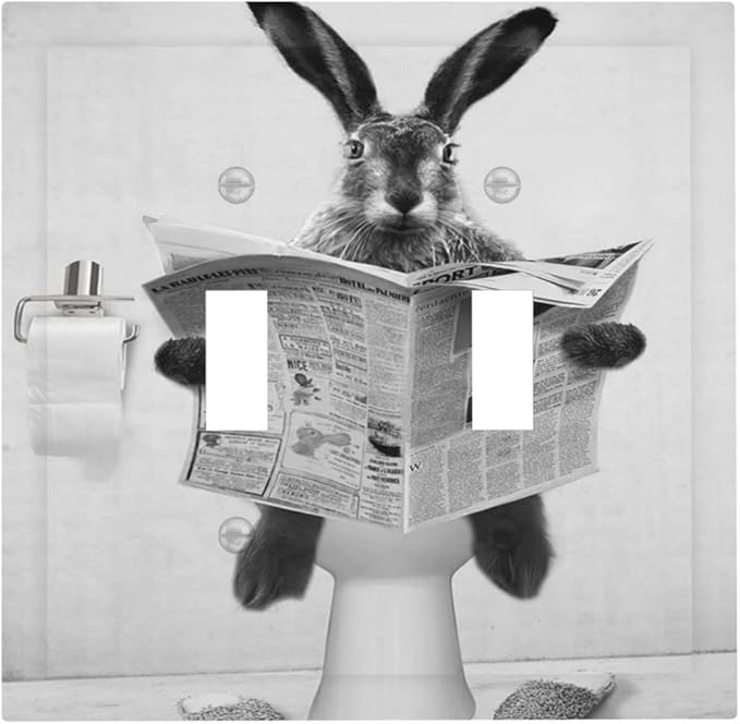 Funny Retro Cute Animals Vintage Grey Black Rabbit Double Toggle Light Switch Plate Cover Decorative 2 Gang Wall Plate Covers Dual Device Electrical Switchplate for Country Bathroom Bedroom