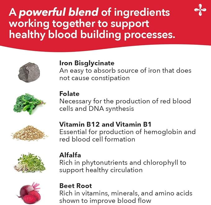 LifeSeasons Blood Nourish-R - Iron Deficiency Supplement - Supports Anemia, Fatigue, Paleness & Dizziness - No Constipation - Blood Building - Iron, Alfalfa, Raspberry & Vitamin B-12-60 Capsules