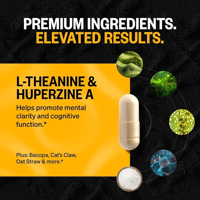 ONNIT Alpha Brain Nootropic Capsules for Men & Women, IGEN Non-GMO Tested Memory, Focus & Mental Clarity, with L-Theanine and Vitamin B6, 30 Count Each, Pack of 3 (90 Capsules)