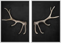 MUDECOR Framed Canvas Print Wall Art Rustic Antler Minimalist Antler Illustrations Modern Art Decorative Bohemian Colorful Chic for Living Room, Bedroom, Office - 16"x24"x2 White
