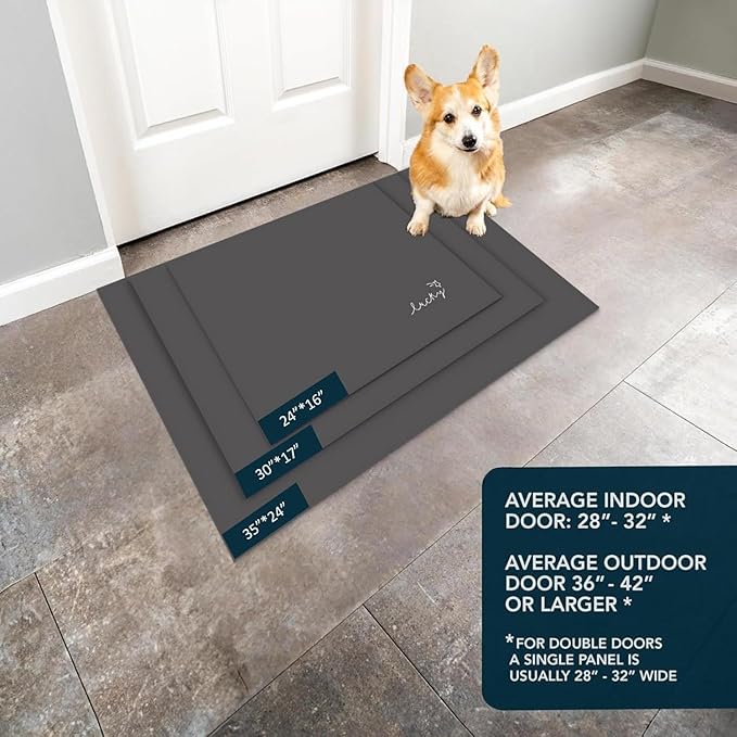 Ultra Thin Door Mat Indoor Entrance, 1/10 in Thin Door Mats for Inside Entry, Non-Slip Rubber Backing Washable Doormat, Fade Resistant, Absorbent, Low Profile Dirt Trapper, 35"X24"