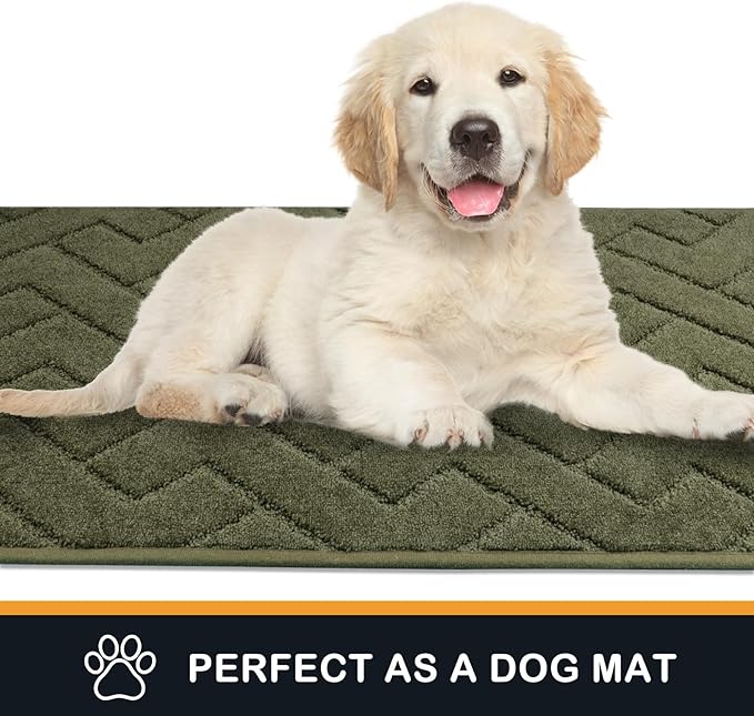 PURRUGS Dirt Trapping Door Mat 24" x 35.5", Non-Slip Machine Washable Entry Rug, Shoe Scraper, Dog Doormat, Super Absorbent Welcome Mat for Front & Back Door, Muddy Wet Shoes & Paws, Sage Green
