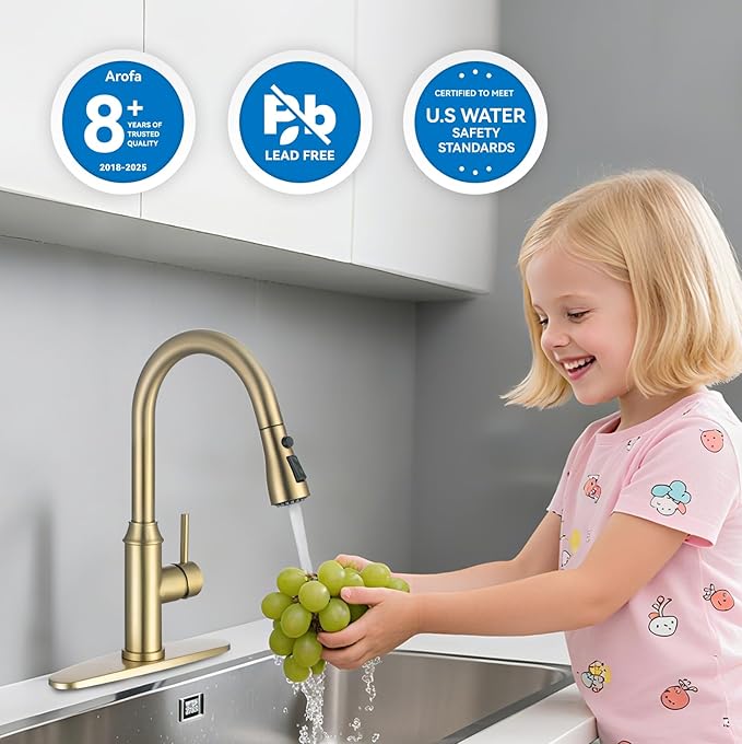 Gold Kitchen Faucet with Sprayer,Single Handle Kitchen Sink Faucet with Pull Out Sprayer, Champagne Bronze, Arofa Brushed Gold Brass Faucets for RV/Outdoor/Laundry Sink
