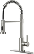 FORIOUS Kitchen Faucets, Brushed Nickel Kitchen Sink Faucet with Pull Down Sprayer, Commercial Kitchen Faucet Stainless Steel, Classic Single Handle Pull Out Sink Faucets for RV Laundry Utility Room