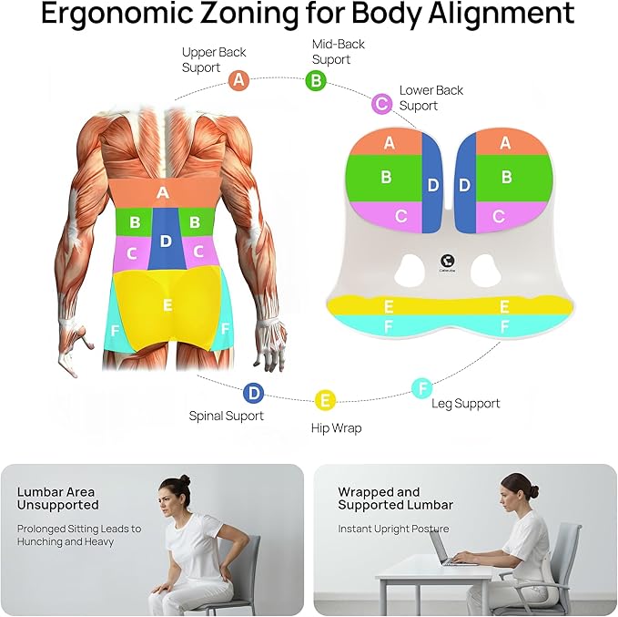 CabSupport Lumbar Support for Office Chair M5 – Ergonomic Support Seat for Posture Correction and Lower Back Pain Relief – Portable, Washable Pads for Office, Home, Car & Floor Sitting