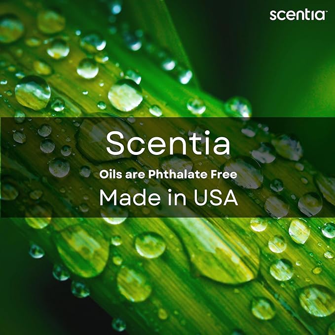 Scentia Pine Frost Essential Oil – 500ml Professional Holiday Diffuser Oil | Crisp Winter Blend with Fir, Pine, Citrus & Vanilla | Bulk Aromatherapy for Homes, Spas, Hotels & DIY Candle Supplies