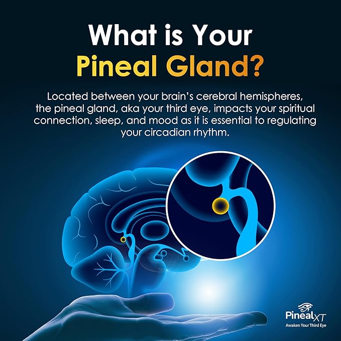 Pineal XT Gold - Pineal Gland Supplement - Third Eye Awakening - Focus and Memory Supplement for Brain - 7 Powerful Ingredients Decalcify, Detox, and Activate Your Pineal Gland, 2 Pack