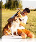 Canvas Prints with Your Photos (Framed 12x12) Personalized Canvas Pictures for Wall Art Digitally Customized Prints with Your Photo Custom Photo Gifts for Home Decor Print Photos Service from Amazon