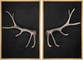 MUDECOR Framed Canvas Print Wall Art Rustic Antler Minimalist Antler Illustrations Modern Art Decorative Bohemian Colorful Chic for Living Room, Bedroom, Office - 24"x36"x2 Natural