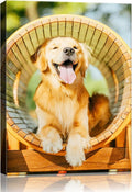 Canvas Prints with Your Photos (Framed 16x20) Personalized Canvas Pictures for Wall Art Digitally Customized Prints with Your Photo Custom Photo Gifts for Home Decor Print Photos Service from Amazon