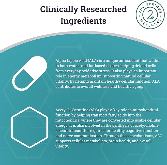 ALA & ALC Complex + Brain Support + Magnesium Bisglycinate Bundle | Energy, Focus, Memory, Cognitive Support, Nerve Health, Calm & Daily Wellness