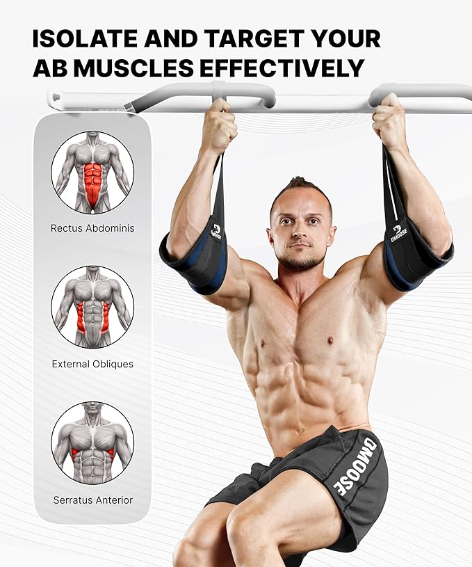 DMoose Fitness Hanging Ab Straps for Pull Up Bar & Core Strength Training - Thick Padded Arm Strap for Ab Swing with 2 Rust-Resistant Carabiners - Pull Up Straps for Ab Workouts at Home and Gym