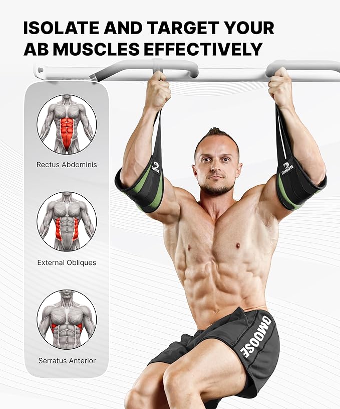 DMoose Fitness Hanging Ab Straps for Pull Up Bar & Core Strength Training - Thick Padded Arm Strap for Ab Swing with 2 Rust-Resistant Carabiners - Pull Up Straps for Ab Workouts at Home and Gym