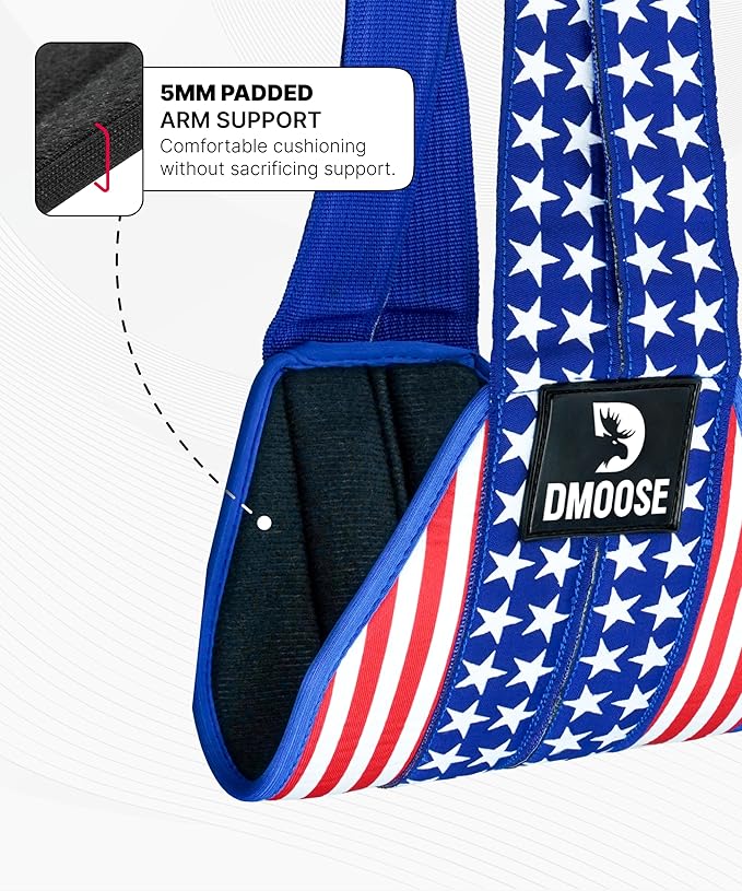 DMoose Fitness Hanging Ab Straps for Pull Up Bar & Core Strength Training - Thick Padded Arm Strap for Ab Swing with 2 Rust-Resistant Carabiners - Pull Up Straps for Ab Workouts at Home and Gym
