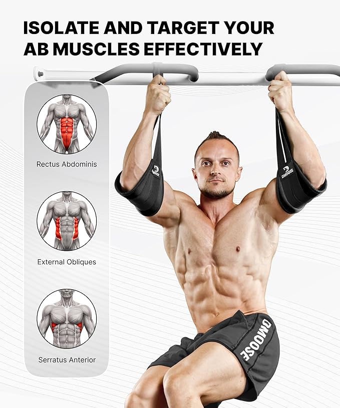 DMoose Fitness Hanging Ab Straps for Pull Up Bar & Core Strength Training - Thick Padded Arm Strap for Ab Swing with 2 Rust-Resistant Carabiners - Pull Up Straps for Ab Workouts at Home and Gym