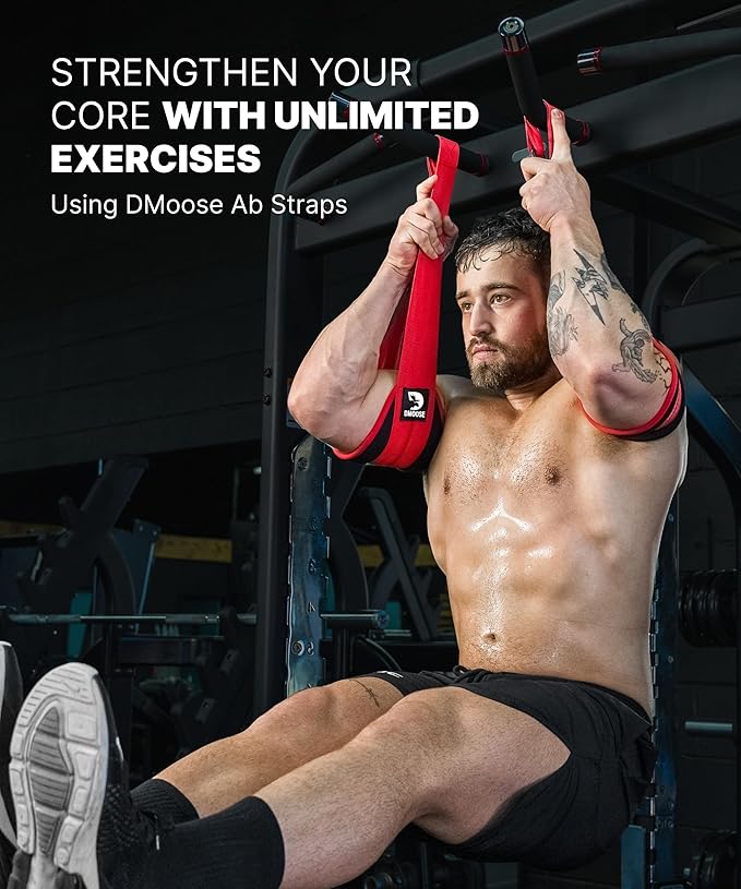 DMoose Fitness Hanging Ab Straps for Pull Up Bar & Core Strength Training - Thick Padded Arm Strap for Ab Swing with 2 Rust-Resistant Carabiners - Pull Up Straps for Ab Workouts at Home and Gym