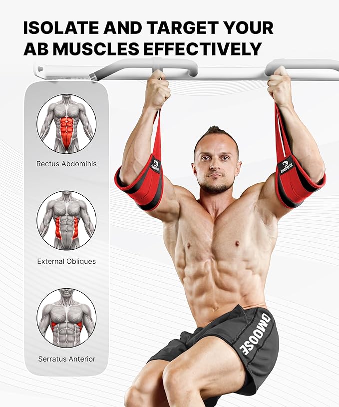 DMoose Fitness Hanging Ab Straps for Pull Up Bar & Core Strength Training - Thick Padded Arm Strap for Ab Swing with 2 Rust-Resistant Carabiners - Pull Up Straps for Ab Workouts at Home and Gym