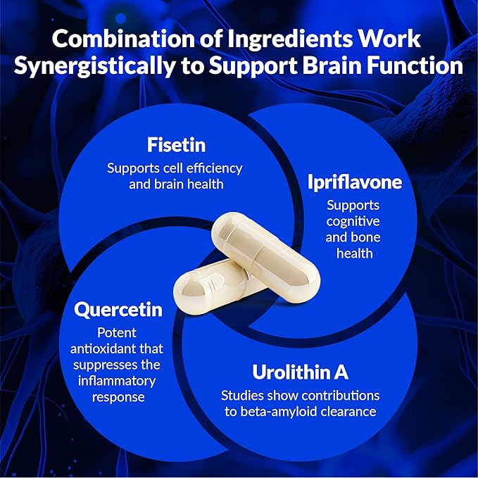 Brain Health Supplement - 60 Count – The Combination is Designed to synergistically Support Brain Health