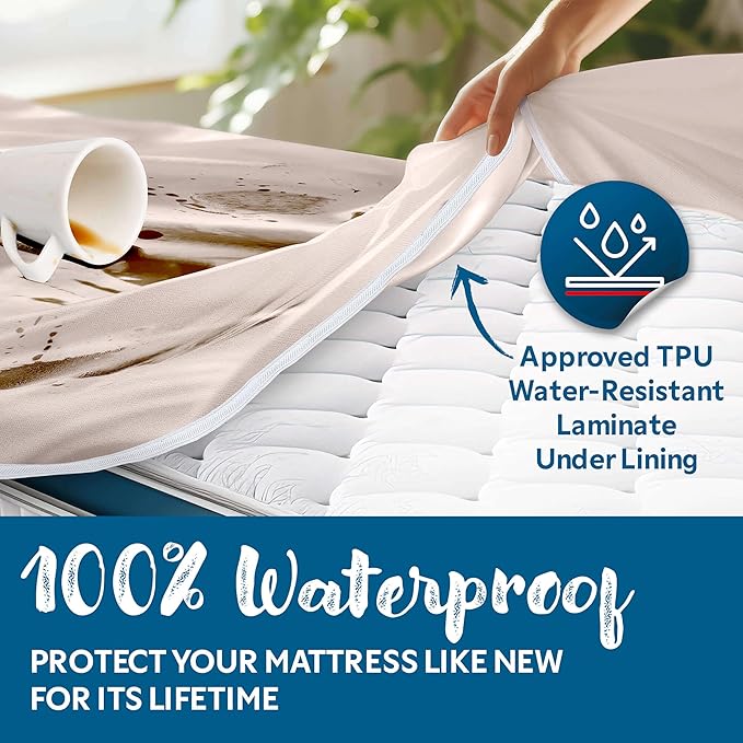 Guardmax Jersey Knitted Sleeper Sofa Zippered Mattress Encasement - Waterproof & Bed Bug Proof Mattress Protector - Comfortable, Soft, and Noiseless Zippered Bedding - Dust Mite Proof (60 x 72 x 5)