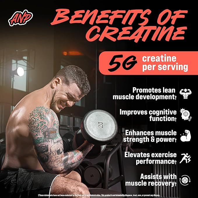 Creatine Monohydrate Gummies 5g - Strawberry-Watermelon Flavored Creatine for Men and Women - Supplement for Muscle Gain, Energy, Pre and Post Workout, Recovery, (120 Gummies)