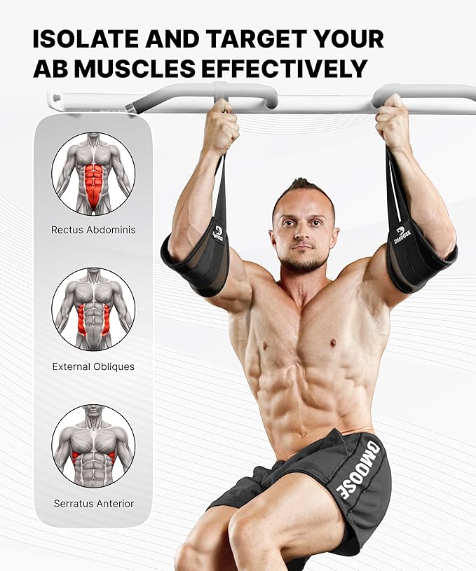 DMoose Fitness Hanging Ab Straps for Pull Up Bar & Core Strength Training - Thick Padded Arm Strap for Ab Swing with 2 Rust-Resistant Carabiners - Pull Up Straps for Ab Workouts at Home and Gym