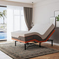 ESHINE Adjustable Bed Frame Queen - Easy to Install in 5 Minutes, Adjustable Bed for Massage, Zero Gravity, Under Bed Lights, Wireless Remote, Foot&Head Incline, Smart Bed, 3000 Premium Series