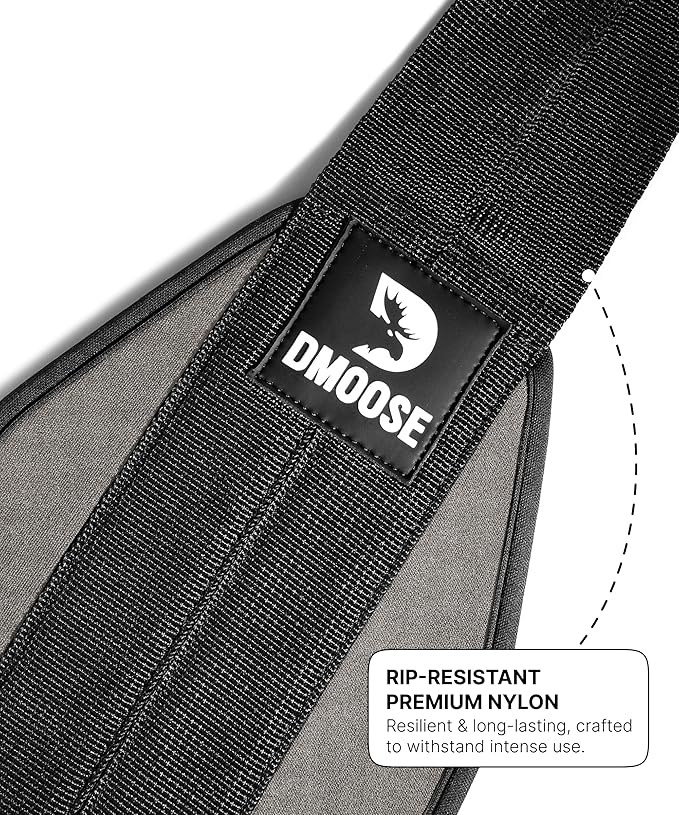 DMoose Fitness Hanging Ab Straps for Pull Up Bar & Core Strength Training - Thick Padded Arm Strap for Ab Swing with 2 Rust-Resistant Carabiners - Pull Up Straps for Ab Workouts at Home and Gym
