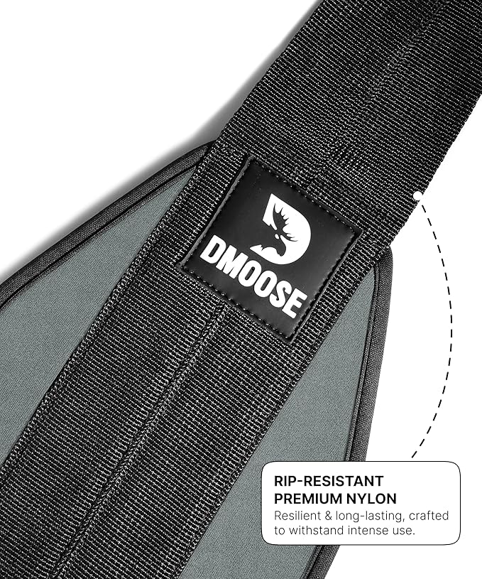 DMoose Fitness Hanging Ab Straps for Pull Up Bar & Core Strength Training - Thick Padded Arm Strap for Ab Swing with 2 Rust-Resistant Carabiners - Pull Up Straps for Ab Workouts at Home and Gym