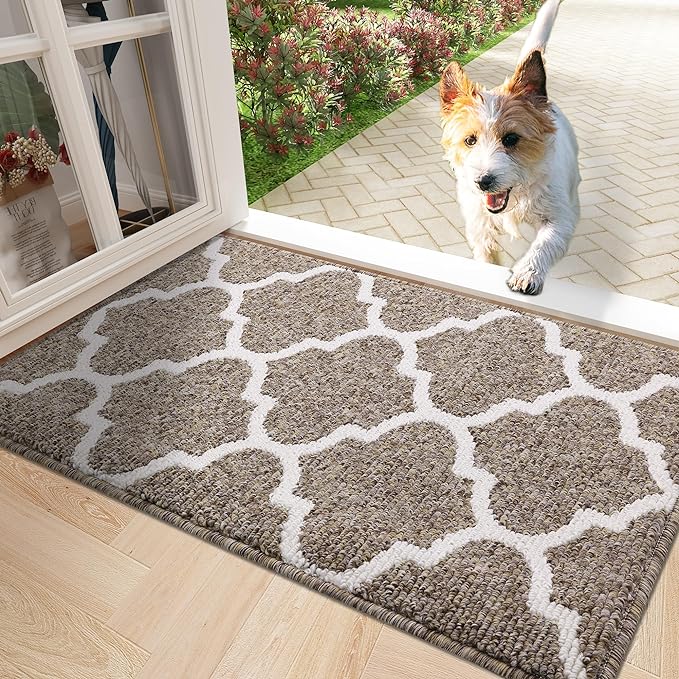 OLANLY Indoor Door Mat, 30x17, Non-Slip Absorbent Resist Dirt Entrance Mat, Washable Low-Profile Inside Floor Doormats for Entryway, Brown