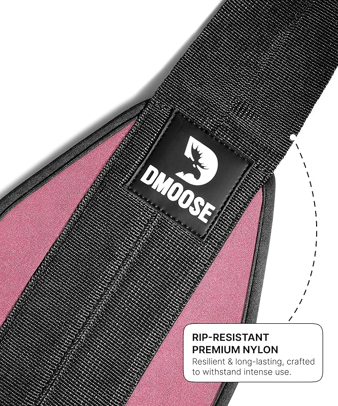 DMoose Fitness Hanging Ab Straps for Pull Up Bar & Core Strength Training - Thick Padded Arm Strap for Ab Swing with 2 Rust-Resistant Carabiners - Pull Up Straps for Ab Workouts at Home and Gym