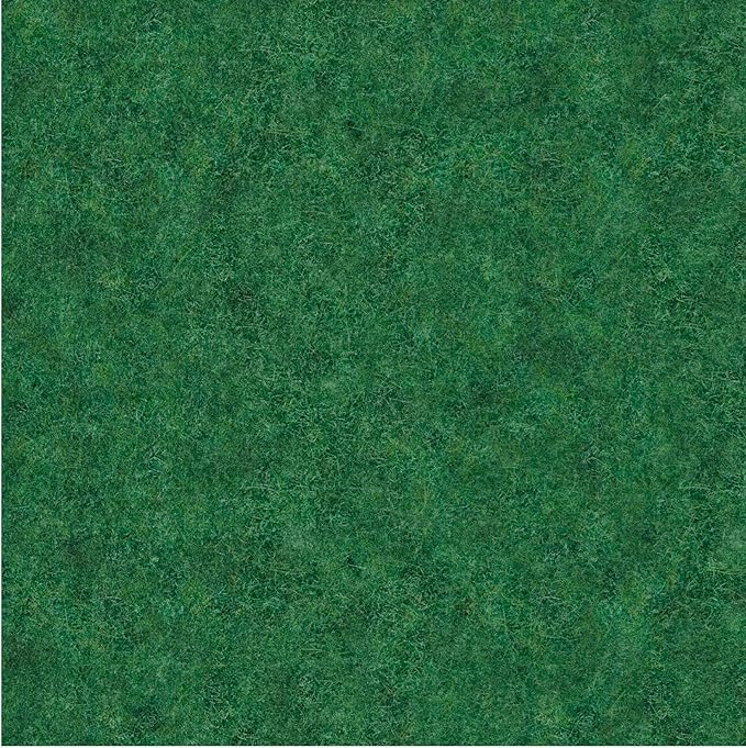 Ottomanson 2' x 54' Hallway Runner with Scraper Pile Extra Durable Non-Slip Rug Mat for Indoor & Outdoor Use - Ideal for Kitchen, Entryway, Patio & Garage - High-Traffic Carpet, Green