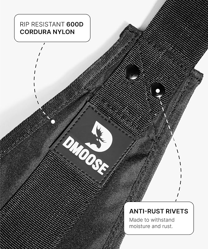 DMoose Fitness Hanging Ab Straps for Pull Up Bar & Core Strength Training - Thick Padded Arm Strap for Ab Swing with 2 Rust-Resistant Carabiners - Pull Up Straps for Ab Workouts at Home and Gym