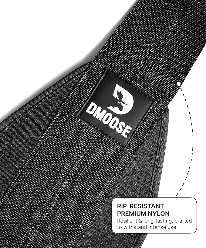 DMoose Fitness Hanging Ab Straps for Pull Up Bar & Core Strength Training - Thick Padded Arm Strap for Ab Swing with 2 Rust-Resistant Carabiners - Pull Up Straps for Ab Workouts at Home and Gym
