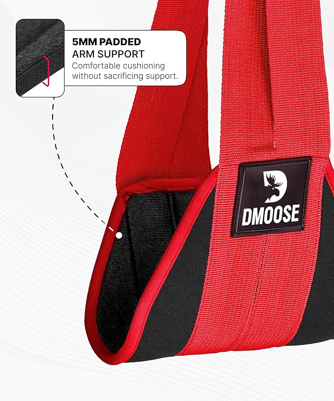 DMoose Fitness Hanging Ab Straps for Pull Up Bar & Core Strength Training - Thick Padded Arm Strap for Ab Swing with 2 Rust-Resistant Carabiners - Pull Up Straps for Ab Workouts at Home and Gym