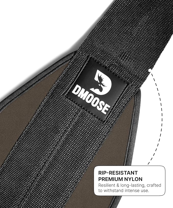 DMoose Fitness Hanging Ab Straps for Pull Up Bar & Core Strength Training - Thick Padded Arm Strap for Ab Swing with 2 Rust-Resistant Carabiners - Pull Up Straps for Ab Workouts at Home and Gym
