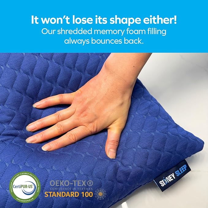Sidney Sleep Set of 2 Queen Size Bed Pillows for Side and Back Sleepers - Adjustable Filling - Memory Foam Pillows for Neck and Shoulder Pain - Customizable Loft - Extra Foam Included (Blue)