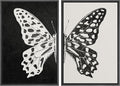 MUDECOR Framed Canvas Wall Art Black and White Butterfly Prints Minimalist Modern Art Boho Wall Decor for Bedroom - 16"x24"x2 Black