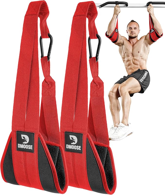 DMoose Fitness Hanging Ab Straps for Pull Up Bar & Core Strength Training - Thick Padded Arm Strap for Ab Swing with 2 Rust-Resistant Carabiners - Pull Up Straps for Ab Workouts at Home and Gym