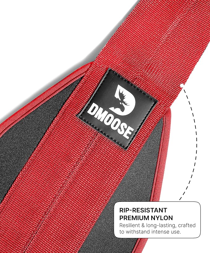 DMoose Fitness Hanging Ab Straps for Pull Up Bar & Core Strength Training - Thick Padded Arm Strap for Ab Swing with 2 Rust-Resistant Carabiners - Pull Up Straps for Ab Workouts at Home and Gym