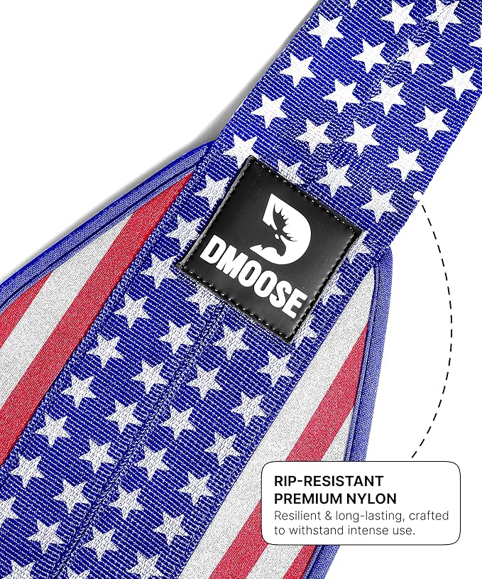 DMoose Fitness Hanging Ab Straps for Pull Up Bar & Core Strength Training - Thick Padded Arm Strap for Ab Swing with 2 Rust-Resistant Carabiners - Pull Up Straps for Ab Workouts at Home and Gym